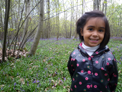9 May bluebells 3.jpg